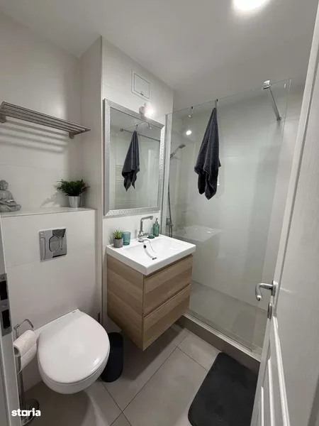 Titan, Costin Georgian, Basarabiei.