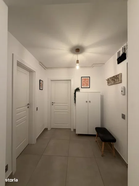 Titan, Costin Georgian, Basarabiei.